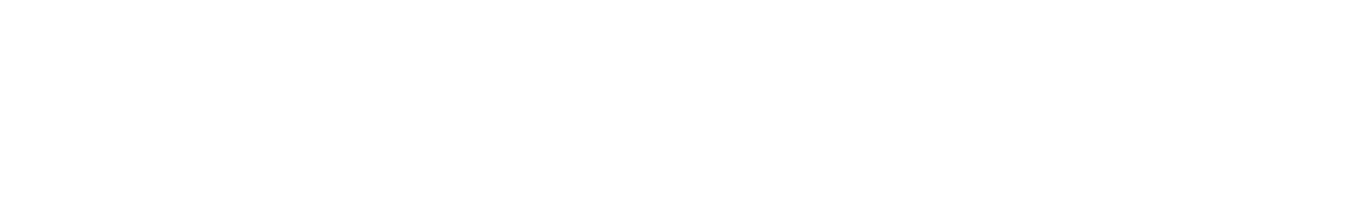 DKW System